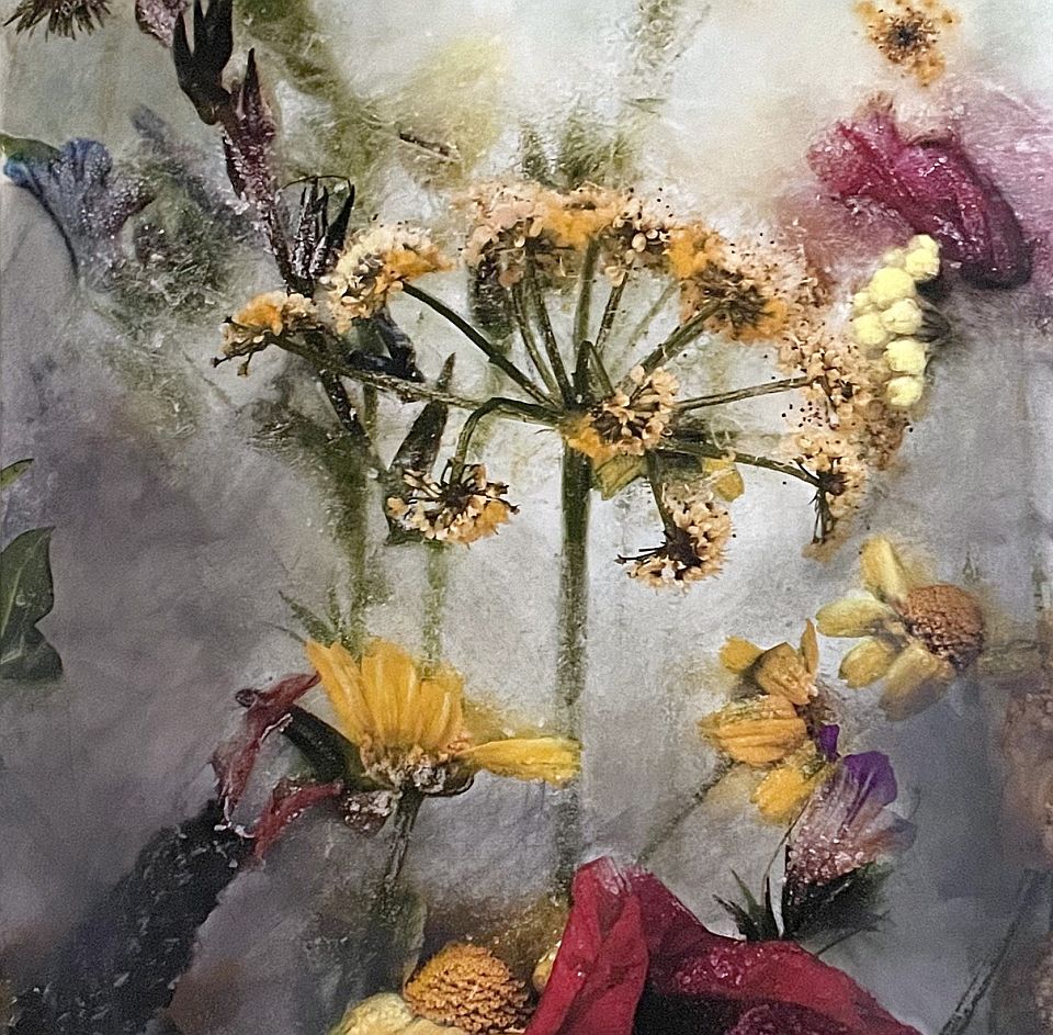 Ems Willems ART Hilversum