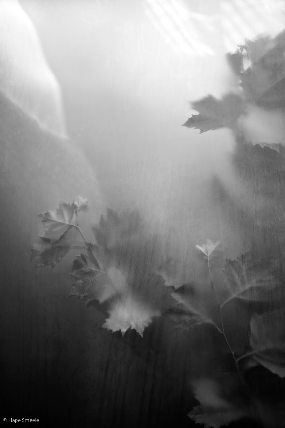 Kamperen nabij Maastricht